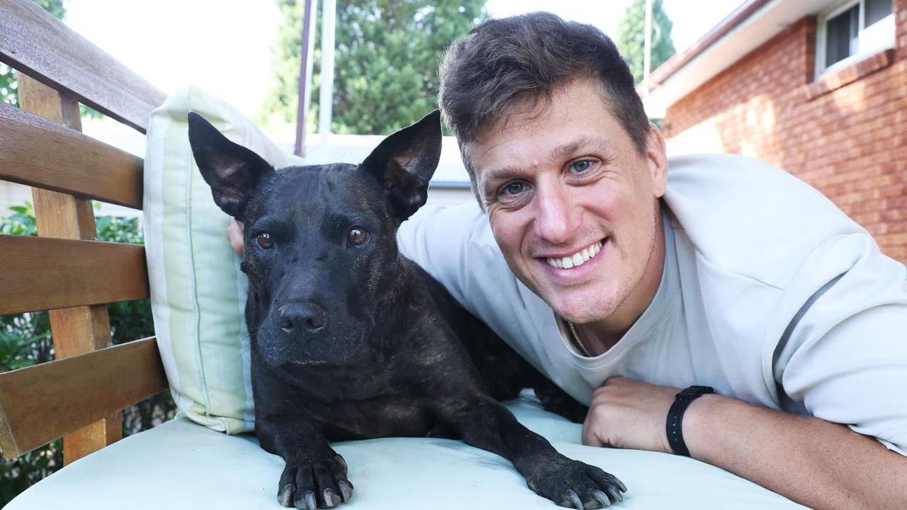 Antreprenorul Cătălin Ionescu folosește AI pentru a salva un câine cu cancer