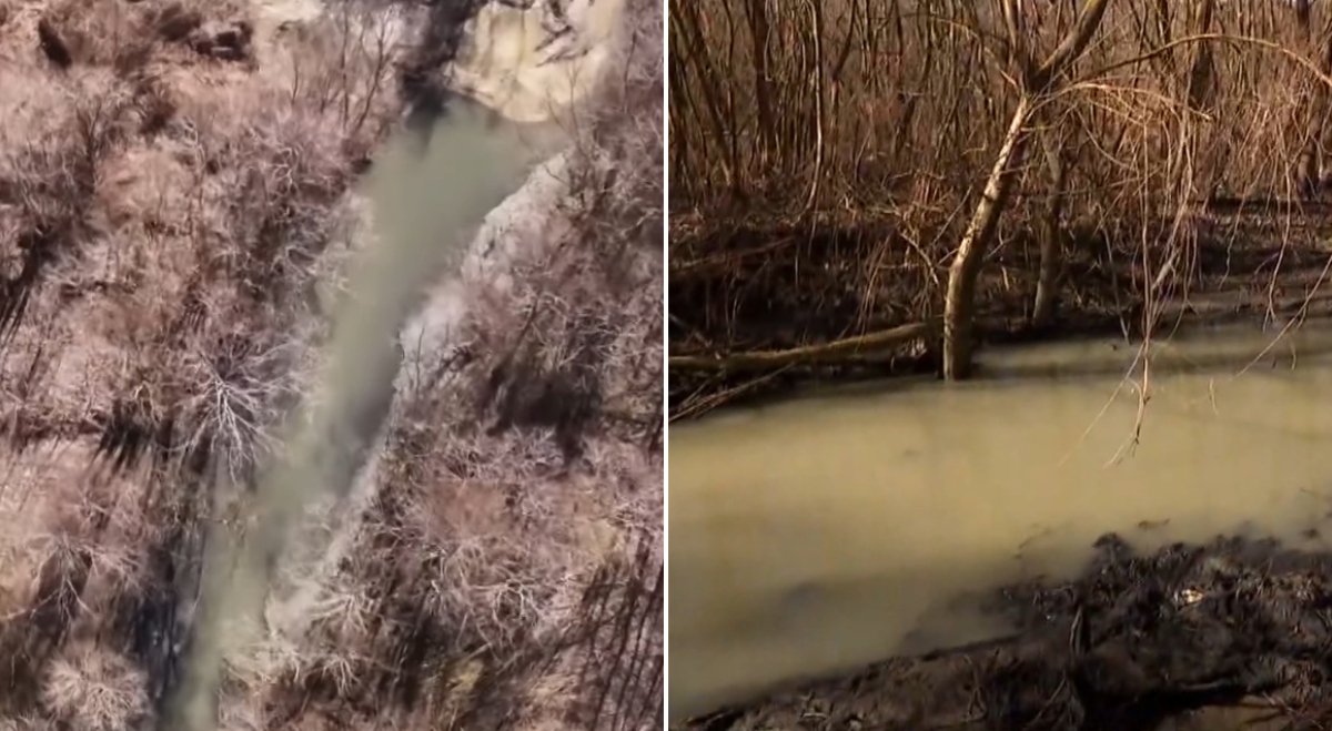 Apele din Capitală, deja poluate, provin în majoritate din râul Argeș, iar autoritățile de gestionare a resurselor nu par să fi reușit să controleze situația alarmantă a calității acestora