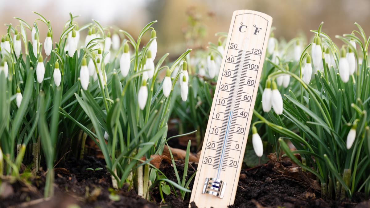 Meteorologii anunță temperaturi peste medie în București pentru următoarele zile, dar și avertizează asupra unor condiții meteo severe ce pot afecta zona