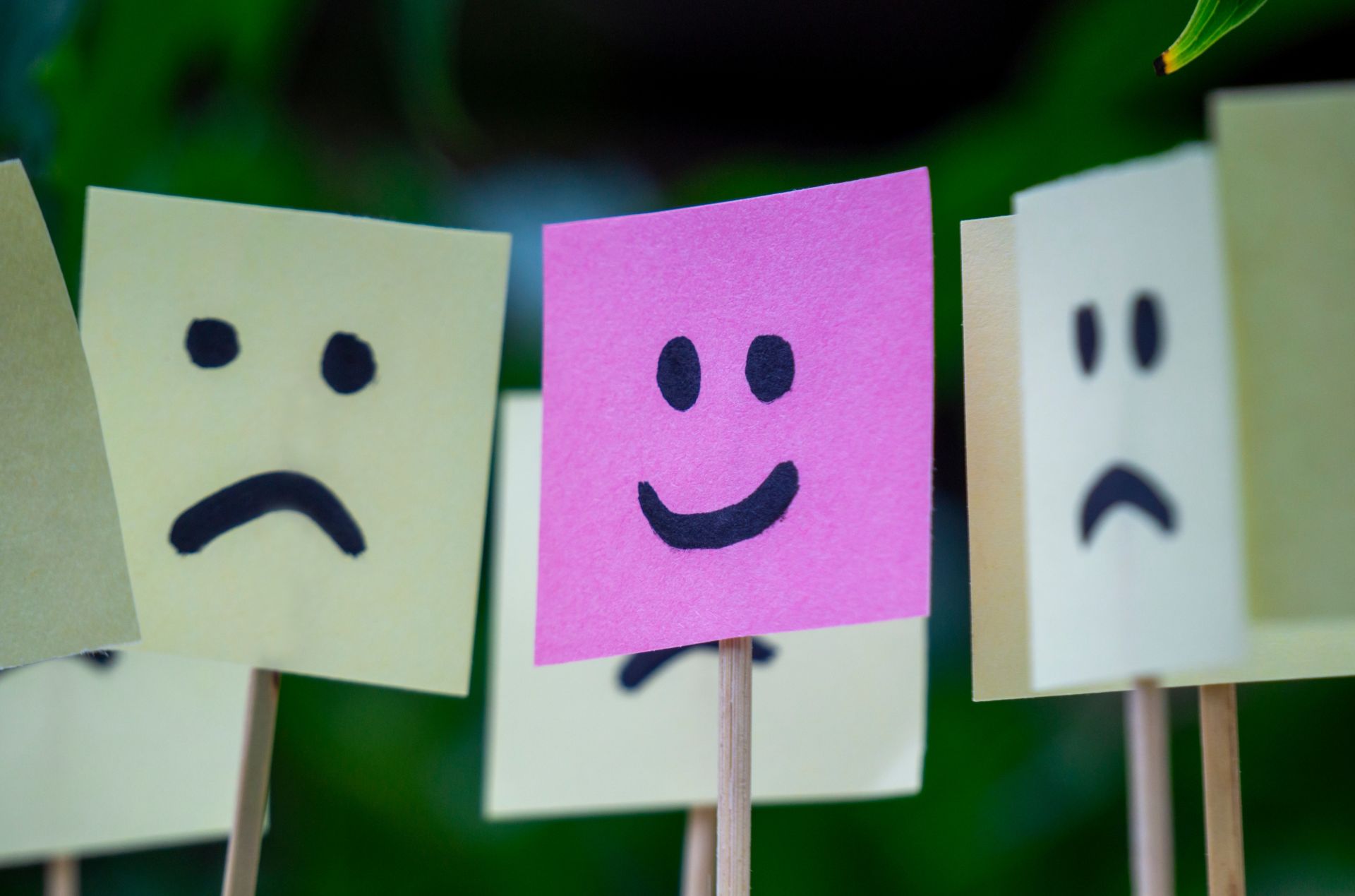 Importanța amabilității în societatea contemporană