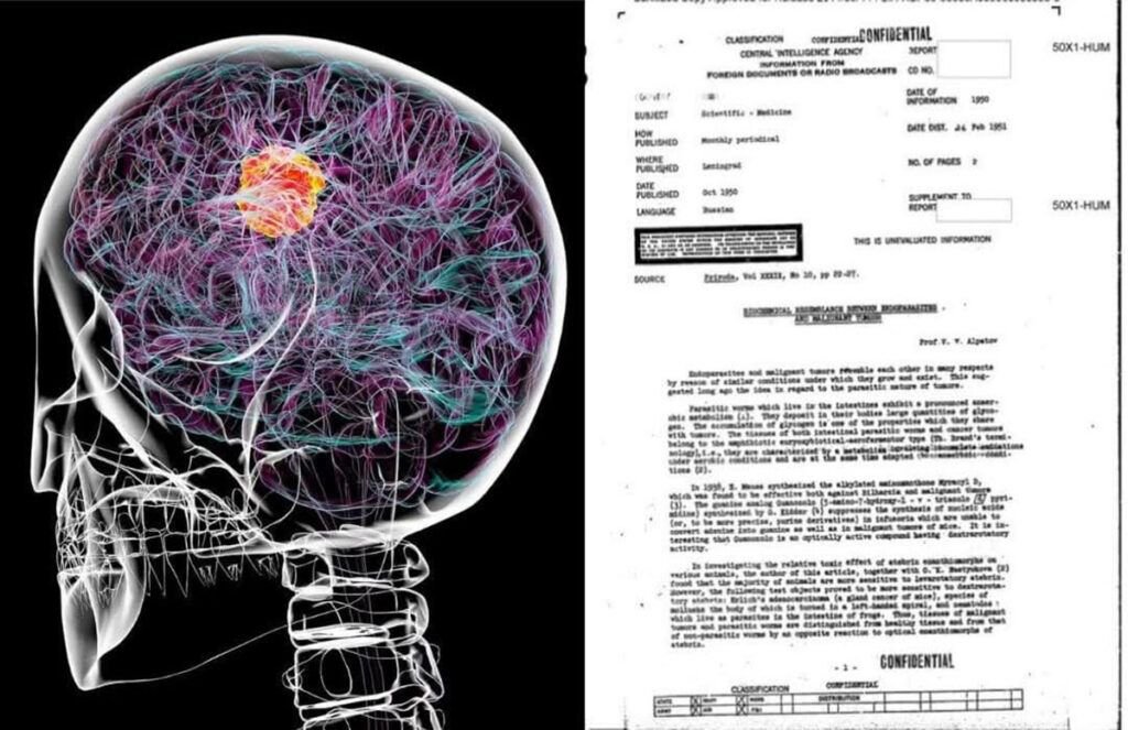 Un document secret al CIA dezvăluit recent aduce în prim-plan o ipoteză curioasă și controversată: tumorile maligne și anumite tipuri de paraziți ar putea împărtăși mecanisme metabolice similare