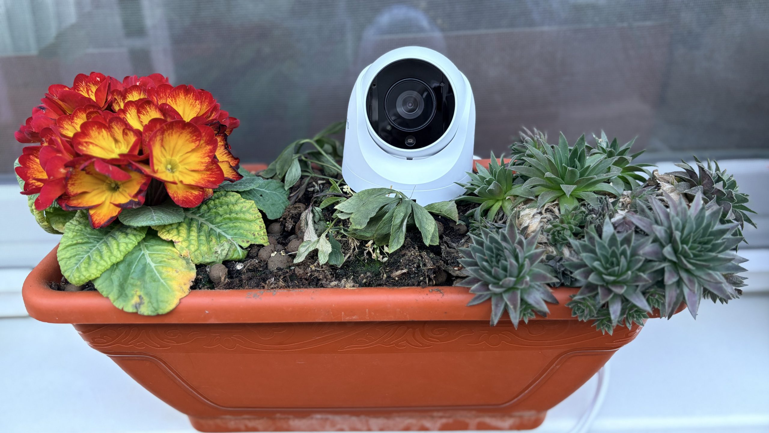 Noua cameră Synology TC500 revoluționează supravegherea cu inteligență artificială integrată și capacitate de stocare avansată Cu tot mai multe case și afaceri care se bazează pe tehnologie pentru a-și asigura siguranța, lansarea noii camere Synology TC500 promite să devină un punct de referință în domeniu