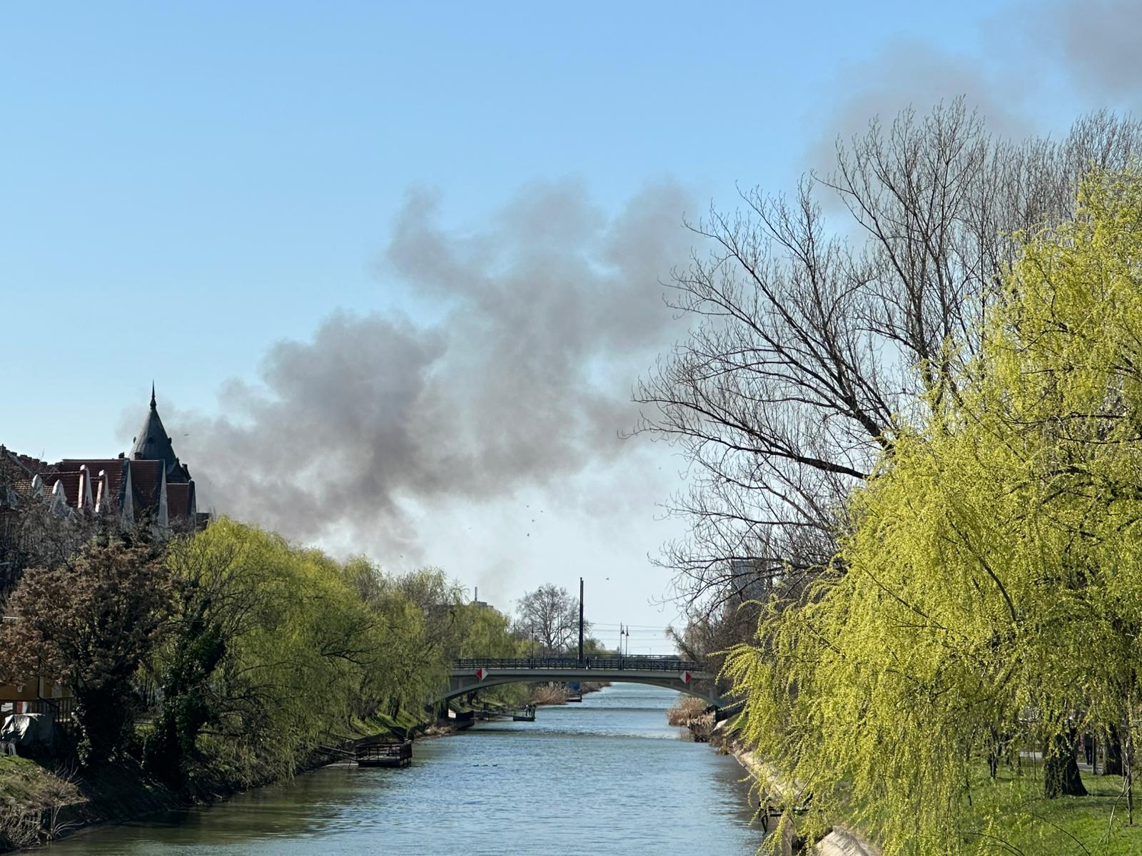 Pompierii din Timișoara intervin pentru stingerea unui incendiu de vegetație în zona Freidorf Un incendiu izbucnit miercuri în zona Freidorf, în apropiere de Liceul Tehnologic Transporturi Auto, a mobilizat echipaje de pompieri din Timișoara