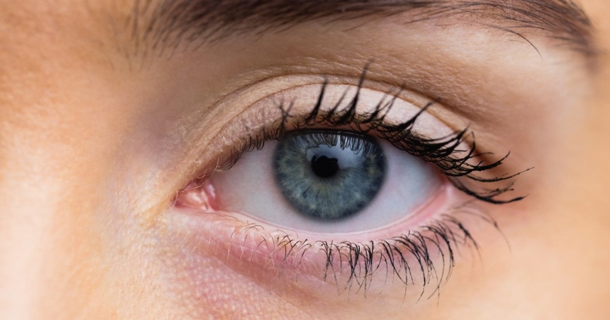 O descoperire promițătoare în domeniul oftalmologiei: cornee artificială realizată din solzi de pește, o soluție inovatoare pentru pacienții cu afecțiuni oculare severe Cercetătorii de la Universitatea din Granada au făcut pași importanți spre ameliorarea condiției multor pacienți cu boli oculare grave, dezvoltând o cornee artificială din materiale neobișnuite: solzi de pește