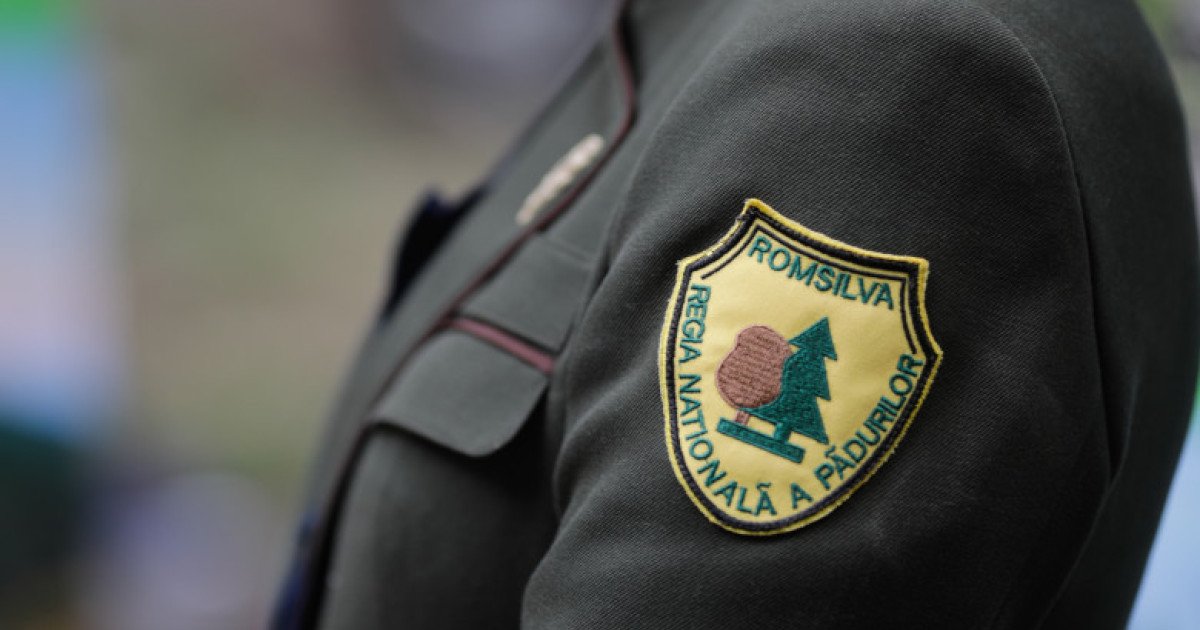 Guvernul României a aprobat, joi, o reformă semnificativă în administrarea silviculturii naționale, prin reorganizarea Complexului Național de Management Forestier Romsilva