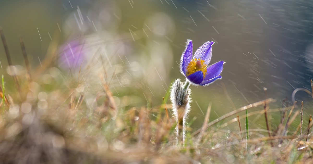 Vântul puternic și vremea răcoroasă de început de săptămână domină peisajul meteorologic al României, iar meteorologii au emis o avertizare valabilă până la ora 18:00 pentru zona de est a țării