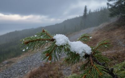 Viscolul și nămeții au ajuns în România; autoritățile emit alerte de cod portocaliu