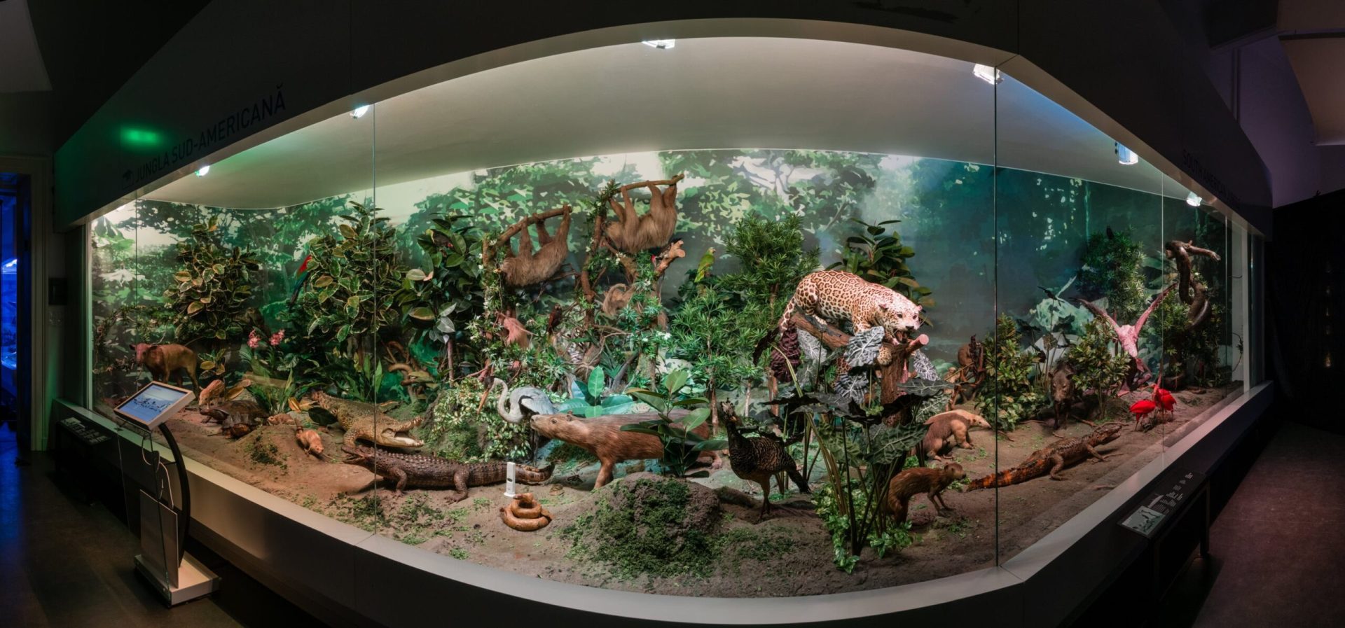 Muzeul Național „Grigore Antipa” organizează, la finalul lunii martie, un atelier special destinat tinerilor cu cerințe educaționale speciale