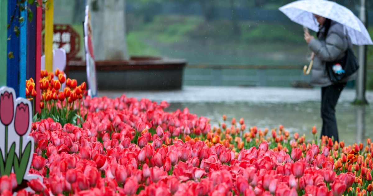 Vreme capricioasă în România: temperaturi în creștere, urmate de ploi și răcire bruscă în perioada sărbătorilor pascale Meteorologii avertizează asupra unei perioade de schimbări dramatice ale vremii în România, ce va afecta întreaga țară până după Paște