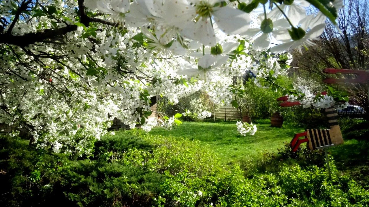 Vremea extrem de caldă din luna martie a șocat românii, anunțând o primă săptămână neobișnuit de blândă pentru această perioadă