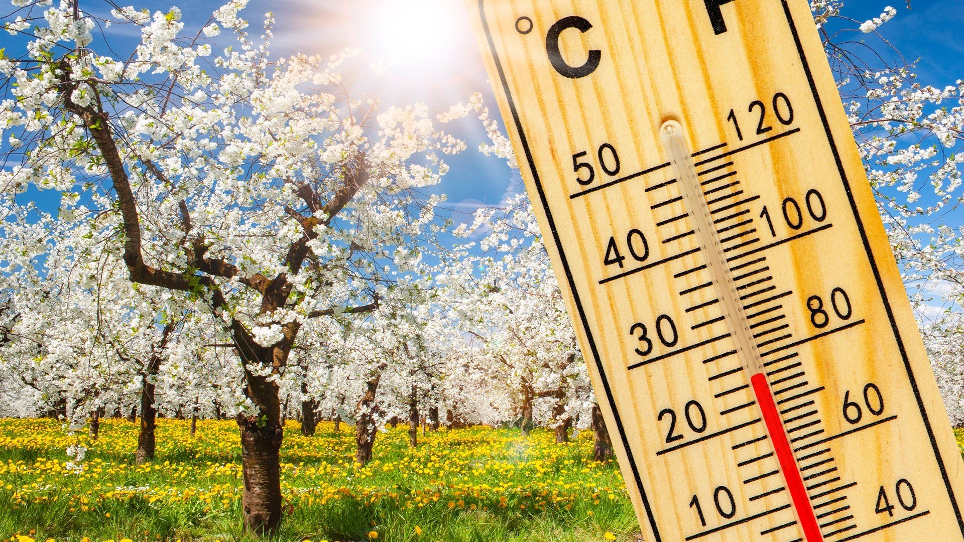 Vremea de Paște se anunță capricioasă în mare parte din țară, cu temperaturi în creștere, dar și cu numeroase episoade de instabilitate atmosferică și ploi