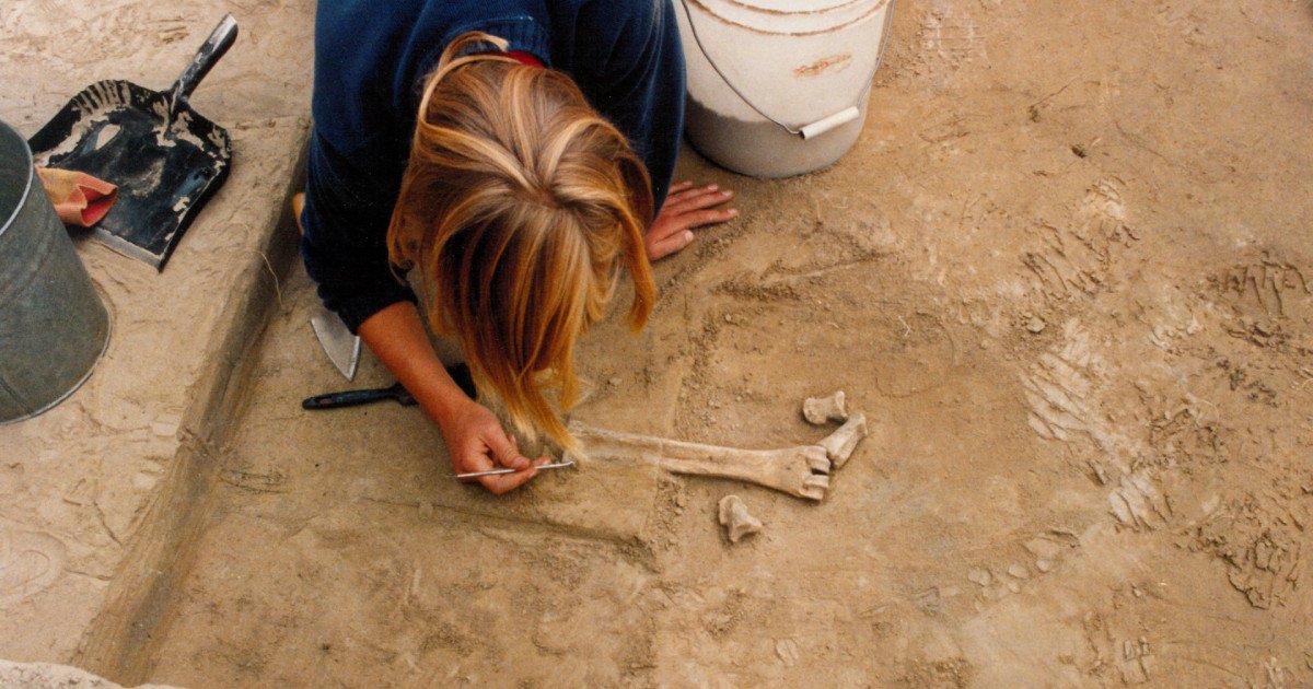 Descoperire în Alaska ar putea schimba radical înțelesul migratiei timpurii în Americas O echipă de arheologi a anunțat recent descoperirea unor unelte vechi de peste 14.000 de ani, găsite în Alaska, care reconfigurează ipotezele consacrate despre primele rute de migrație ale oamenilor din Asia către America de Nord