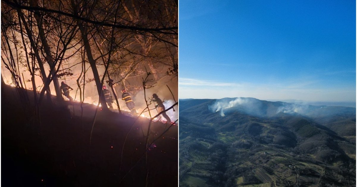 Infecțiile de vegetație din județele Maramureș și Satu Mare au declanșat, din nou, alarmă în rândul autorităților și pompierilor, fiind mobilizate eforturi uriașe pentru stingerea rapidă a focului