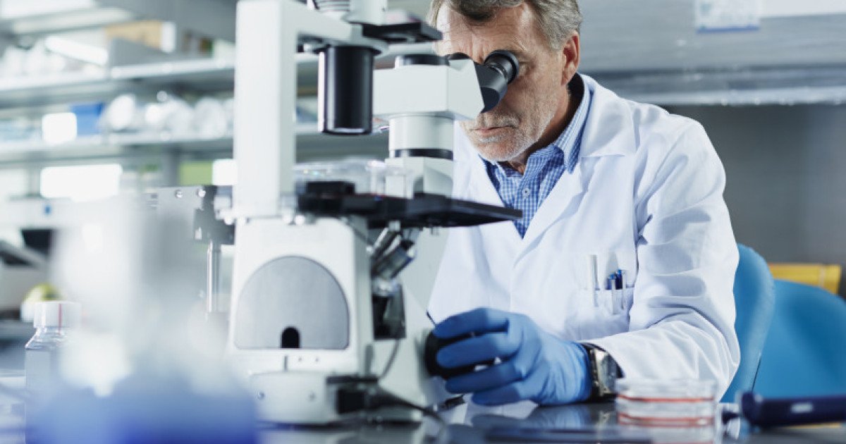 Când bărbații îmbătrânesc, o schimbare subtilă, dar profundă, devine vizibilă la nivel celular: pierderea cromozomului Y