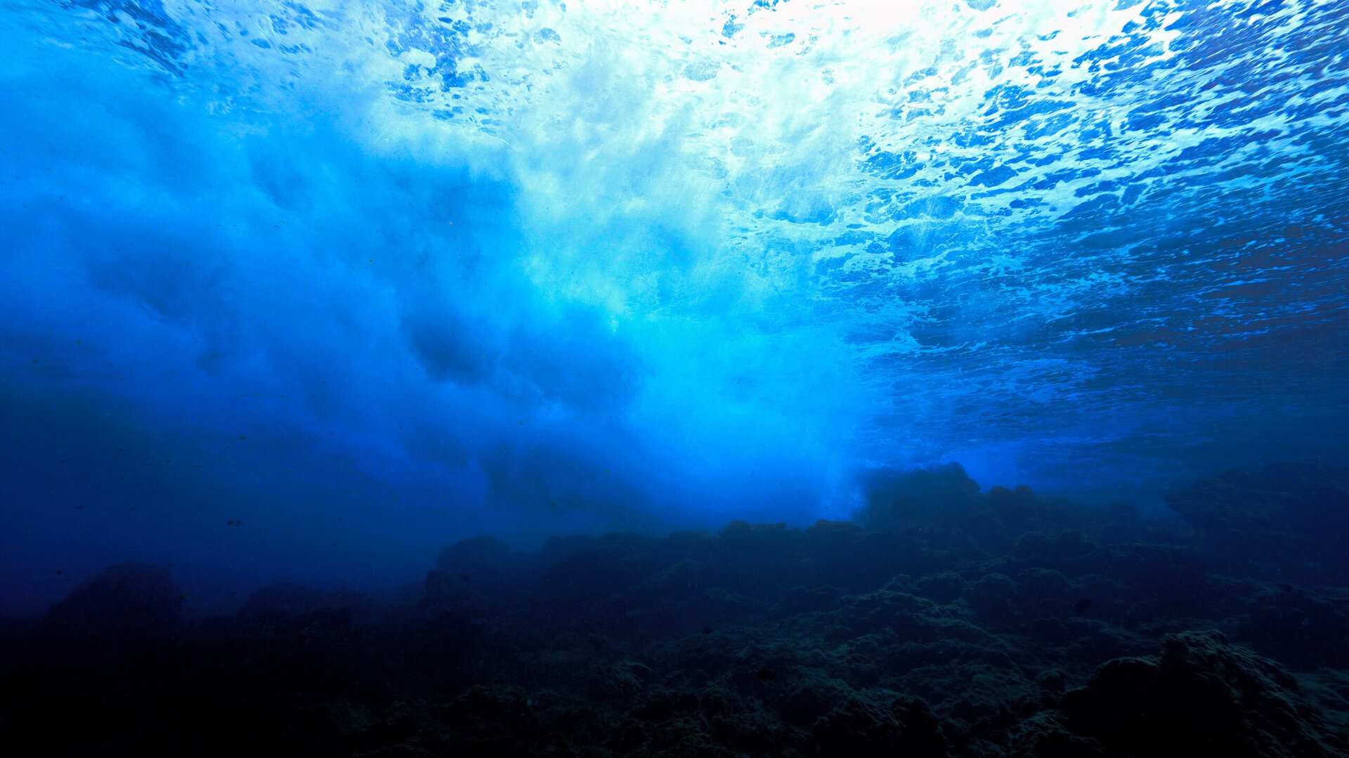 Depresiunea King, „Marele Canion al Atlanticului”, dezvăluit ca rezultat al forțelor tectonice complexe La circa 1.000 de kilometri de coasta Portugaliei, îngropată sub valuri de sute de metri, se întinde una dintre cele mai misterioase și spectaculoase structuri geologice ale oceanului Atlantic: Depresiunea King, cunoscută și sub numele de „Marele Canion al Atlanticului”