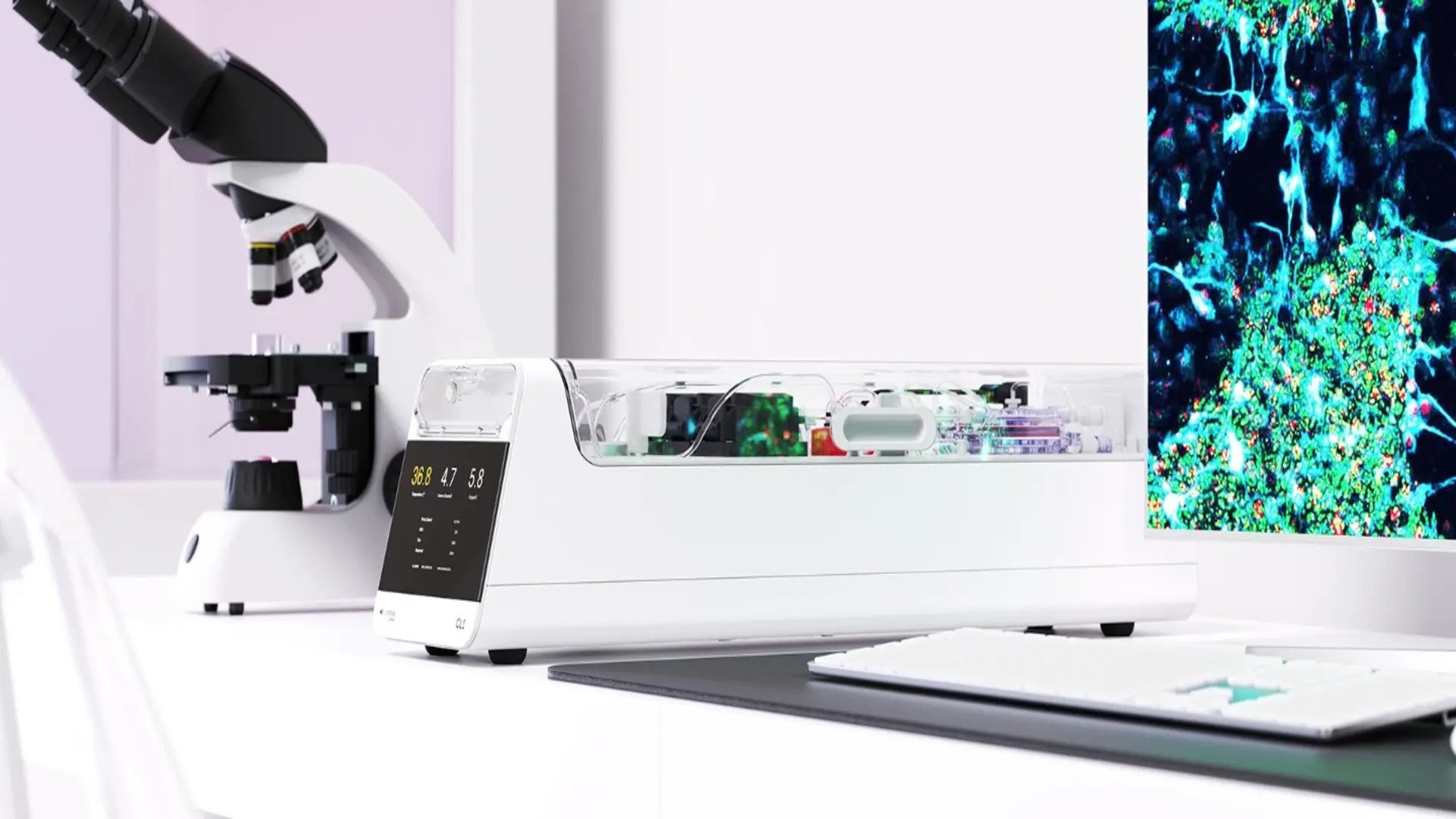 O realizare revoluționară în domeniul inteligenței artificiale: celulele cerebrale umane antrenate să joace Doom Un experiment de pionierat în domeniul tehnologiei biologice a deschis noi perspective asupra interacțiunii dintre creier și calculator