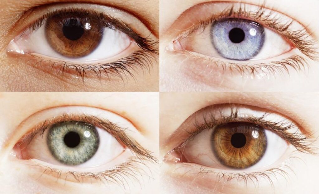 Culoarea ochilor poate dezvălui mai mult decât simpla frumusețe: un studiu recent sugerează că albastrul are conexiuni surprinzătoare cu anumite comportamente, chiar și cu dependența de alcool