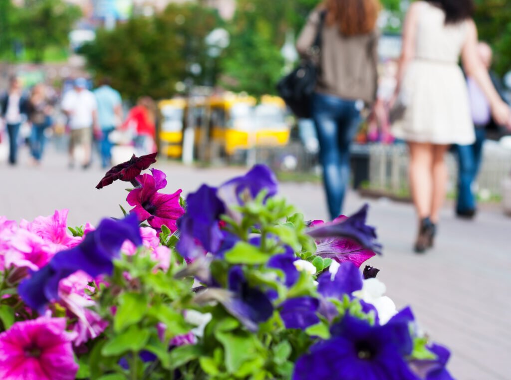 România se pregătește pentru o primăvară cu temperaturi mai ridicate decât media perioadei, potrivit ultimei prognoze elaborată de Administrația Națională de Meteorologie (ANM)