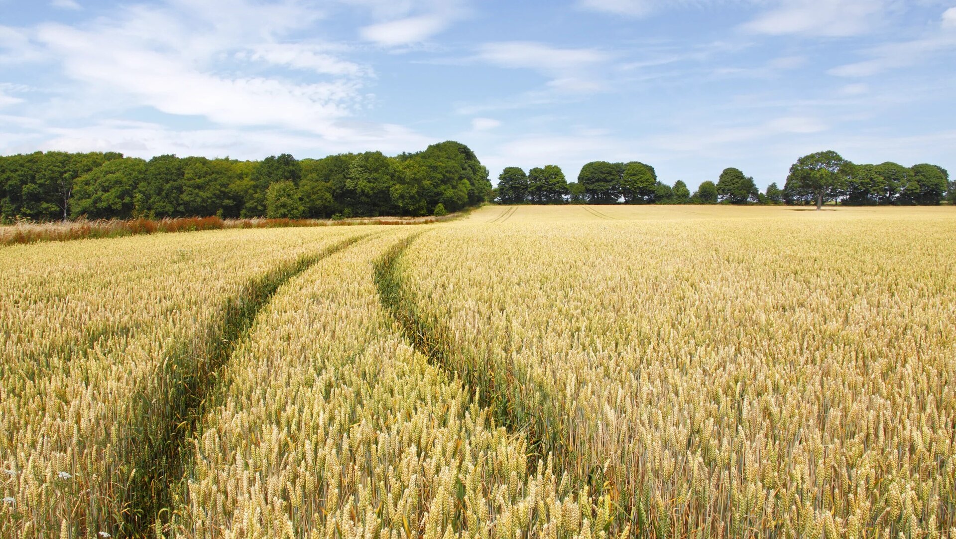 Turcia blochează exportul de îngrășăminte, impact major pentru fermieri (SURSE)