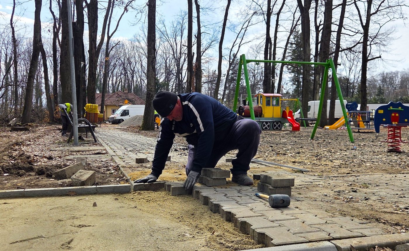 Primăria Sectorului 1 a anunțat recent un amplu proiect de modernizare a zonei din Pădurea Băneasa, pe Aleea Privighetorilor, menită să transforme radical spațiul destinat recreerii și deplasării locuitorilor din zonă