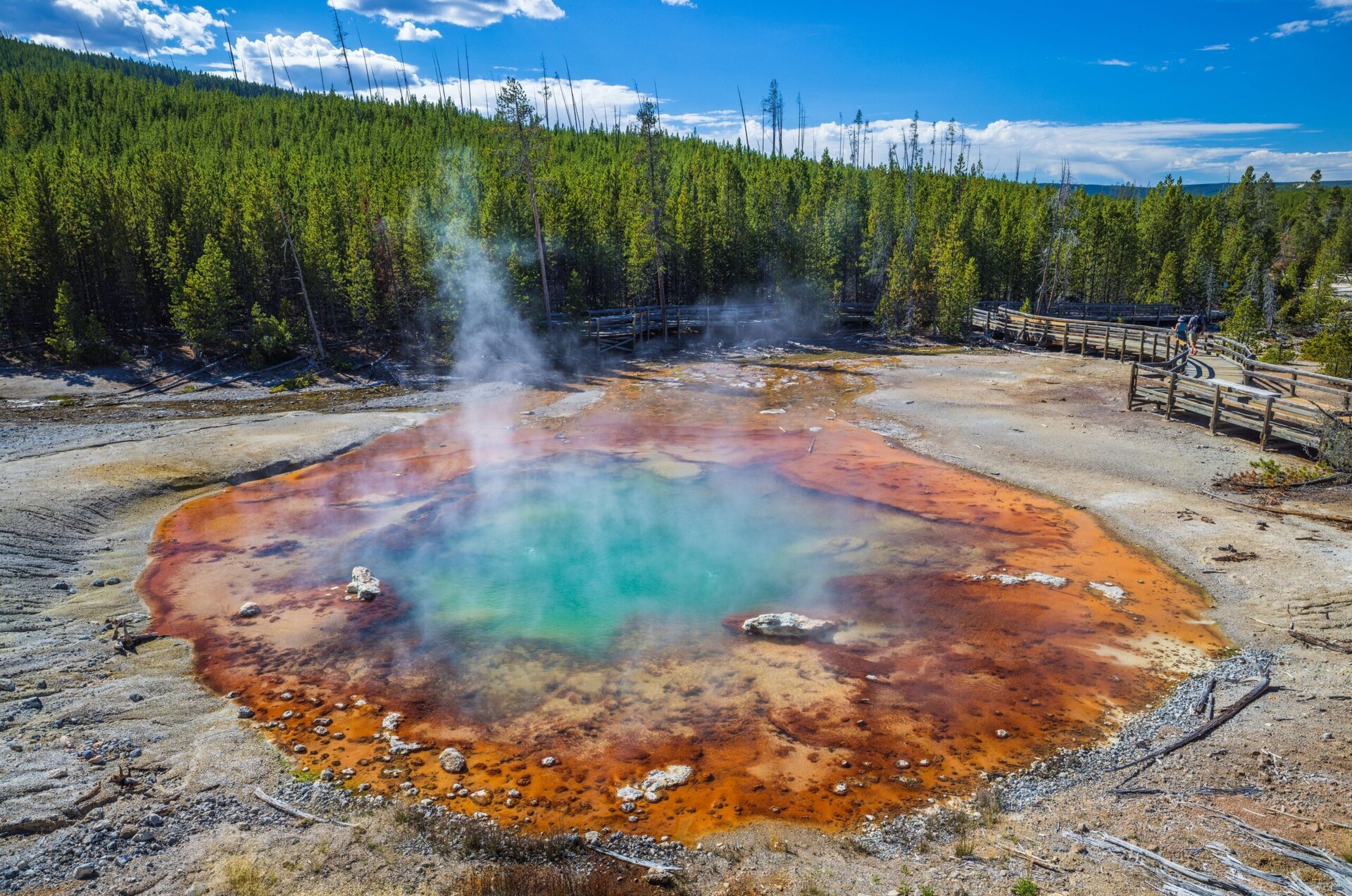 Gheizerul Echinus din Parcul Național Yellowstone, cel mai mare gheizer acid din lume, a redeschis porțile erupției după o pauză de peste cinci ani de inactivitate