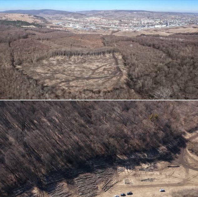 Zeci de hectare din pădurea Hoia-Baciu, tăiate ilegal: un fenomen îngrijorător care ridică semne de întrebare O zonă emblematică pentru Cluj-Napoca și pentru întreaga regiune, pădurea Hoia-Baciu, cunoscută pentru misterele și poveștile sale, se află din nou în centrul atenției