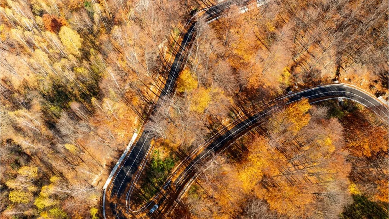 Șoseaua Soveja – Lepșa, odată o „rușine națională”, a fost transformată radical după ani de neglijență și promisiuni neîmplinite Unul dintre cele mai lungi și importante drumuri din regiunea Vrancea, DN2L Soveja – Lepșa, a beneficiat în sfârșit de o renovare integrală care asigură siguranța și confortul șoferilor, dar și dezvoltarea turismului în zonă