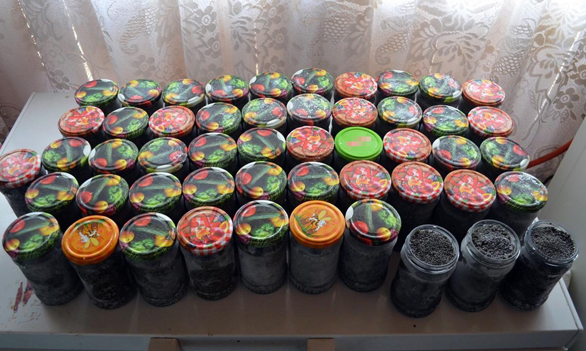 Descoperire spectaculoasă a autorităților din Constanța: peste 60 de kilograme de icre negre și sturion confiscate în cadrul unei operațiuni anti-braconaj Poliţiştii de frontieră din cadrul Gărzii de Coastă, împreună cu efective din cadrul Jandarmeriei Constanța, au realizat marți o acțiune de amploare în zona localității Făcăieni, județul Ialomița