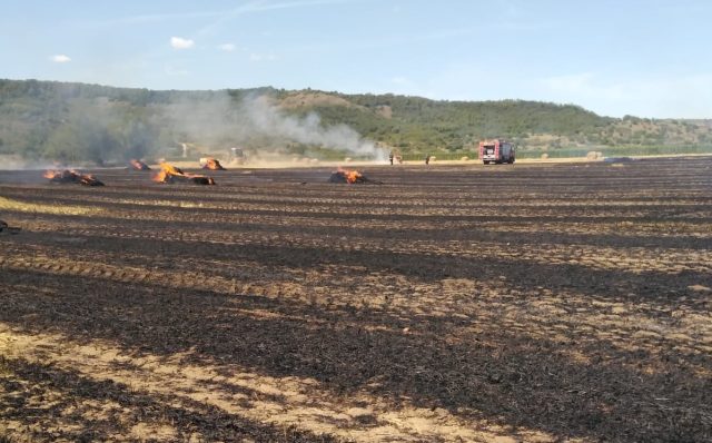 Incendiul de vegetație uscată din județul Mureș a perturbat traficul feroviar, fiind nevoit să oprească preventiv două trenuri de călători pe linia dintre Sighișoara și localitatea Mureni, în zona rurală a județului