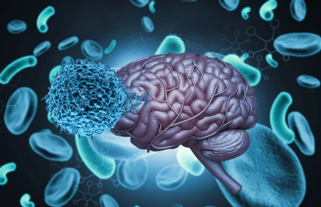 Un parazit microscopic – Toxoplasma gondii – infectează, conform estimărilor, aproximativ o treime din populația lumii, fără a cauza neapărat simptome evidente în stadiile incipiente