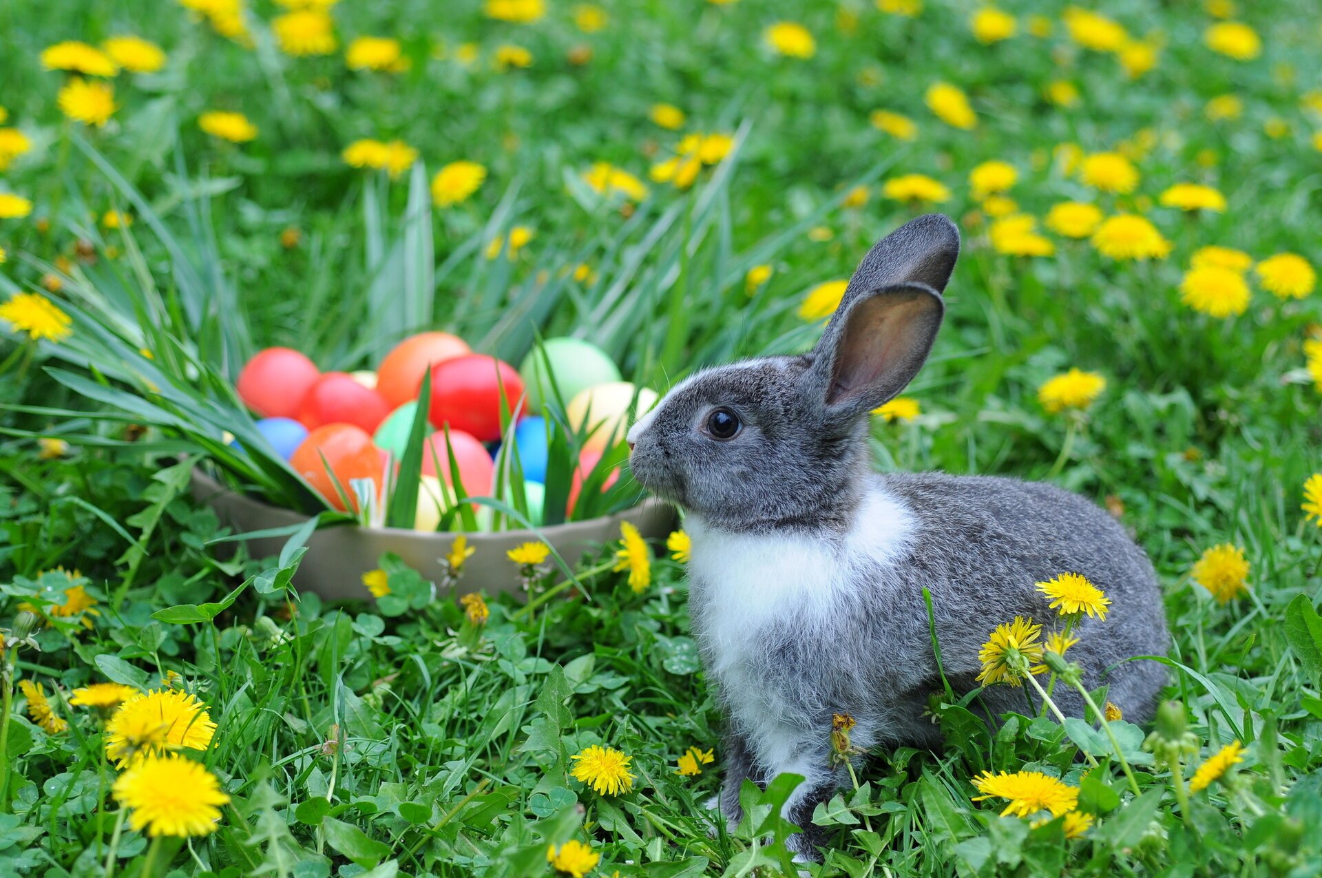 Paștele ortodox și catolic din 2026 cad în același weekend