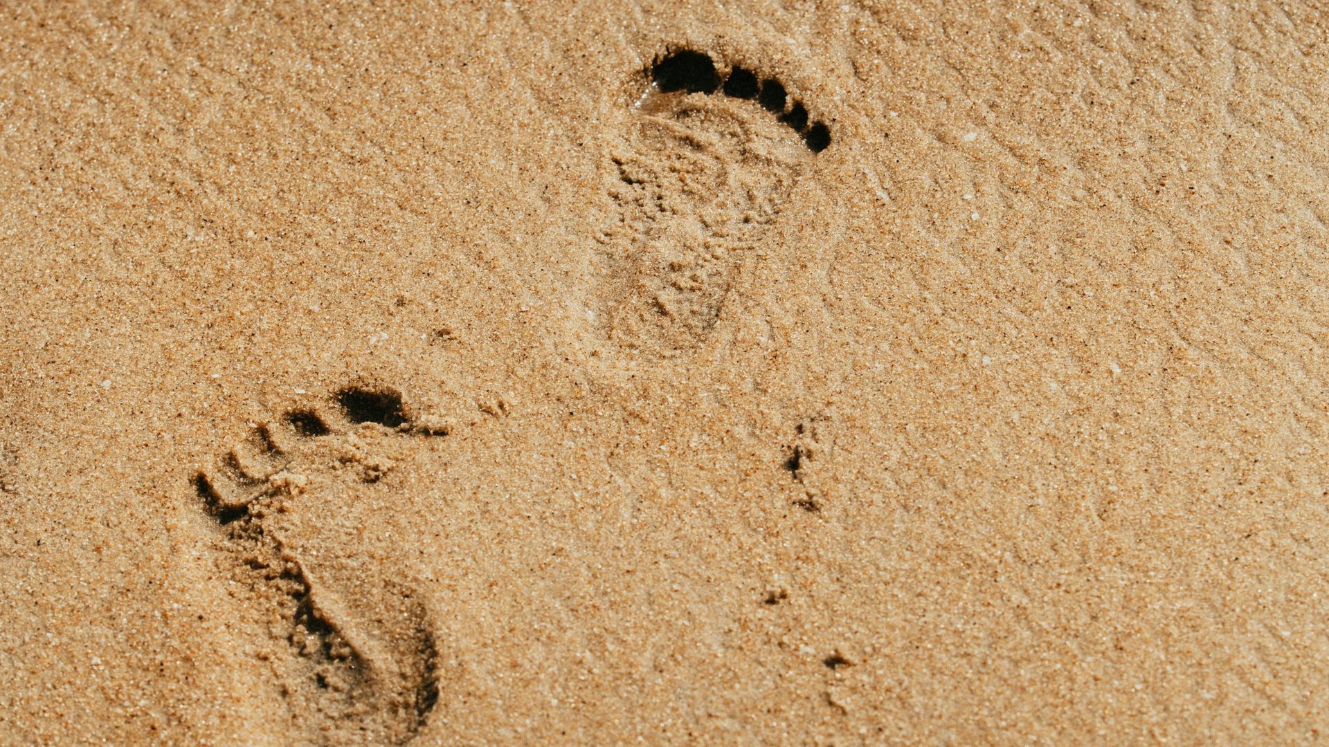 Un incident grav a avut loc luni în zona fostei terase Lujo din Năvodari, când un utilaj folosit pentru pregătirea plajei de sezonul estival a avariat accidental un rezervor de gaz subteran, cu o capacitate de 2.600 de litri