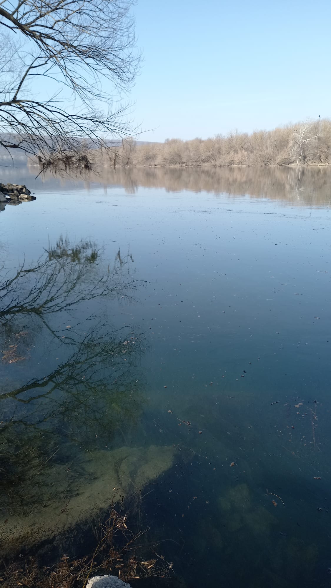 Poluare acută a râului Nistru: sprijin din România pentru Republica Moldova în fața unei crize ecologice Râul Nistru, care străbate Republica Moldova și este o resursă vitală pentru milioane de locuitori, se află în fața unei noi crize ecologice