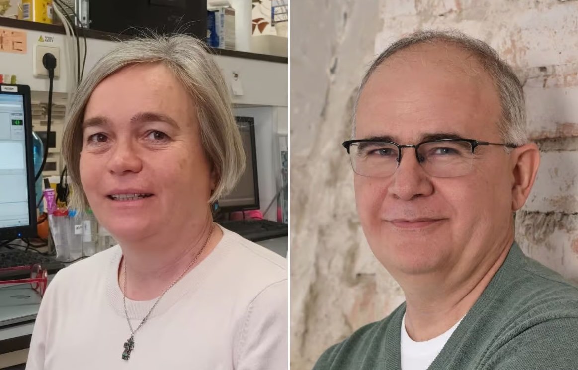 Ce înseamnă premiile acordate de Academia Maghiară de Științe pentru comunitatea maghiară din afara Ungariei Într-un eveniment recent, Comitetul Prezidențial pentru Știința Maghiară din Străinătate, afiliat Academiei Maghiare de Științe, a anunțat laureații din acest an ai premiilor Arany János, un simbol al recunoașterii meritelor în cercetare, și Medalei Arany János