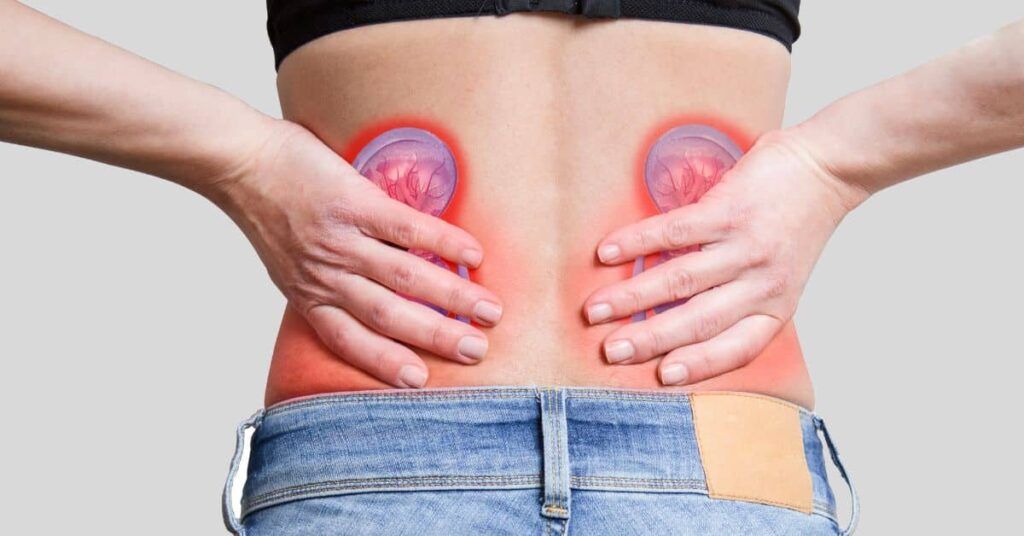 Alimentația dezechilibrată și obiceiurile nocive pot avea consecințe grave asupra sănătății rinichilor, subliniază medicii, avertizând că unele dintre cele mai frecvente și aparent inofensive practici cotidiene pot duce, în timp, la probleme cronice de rinichi, agravând riscul de evenimente cardiovasculare majore precum infarctul sau accidentul vascular cerebral