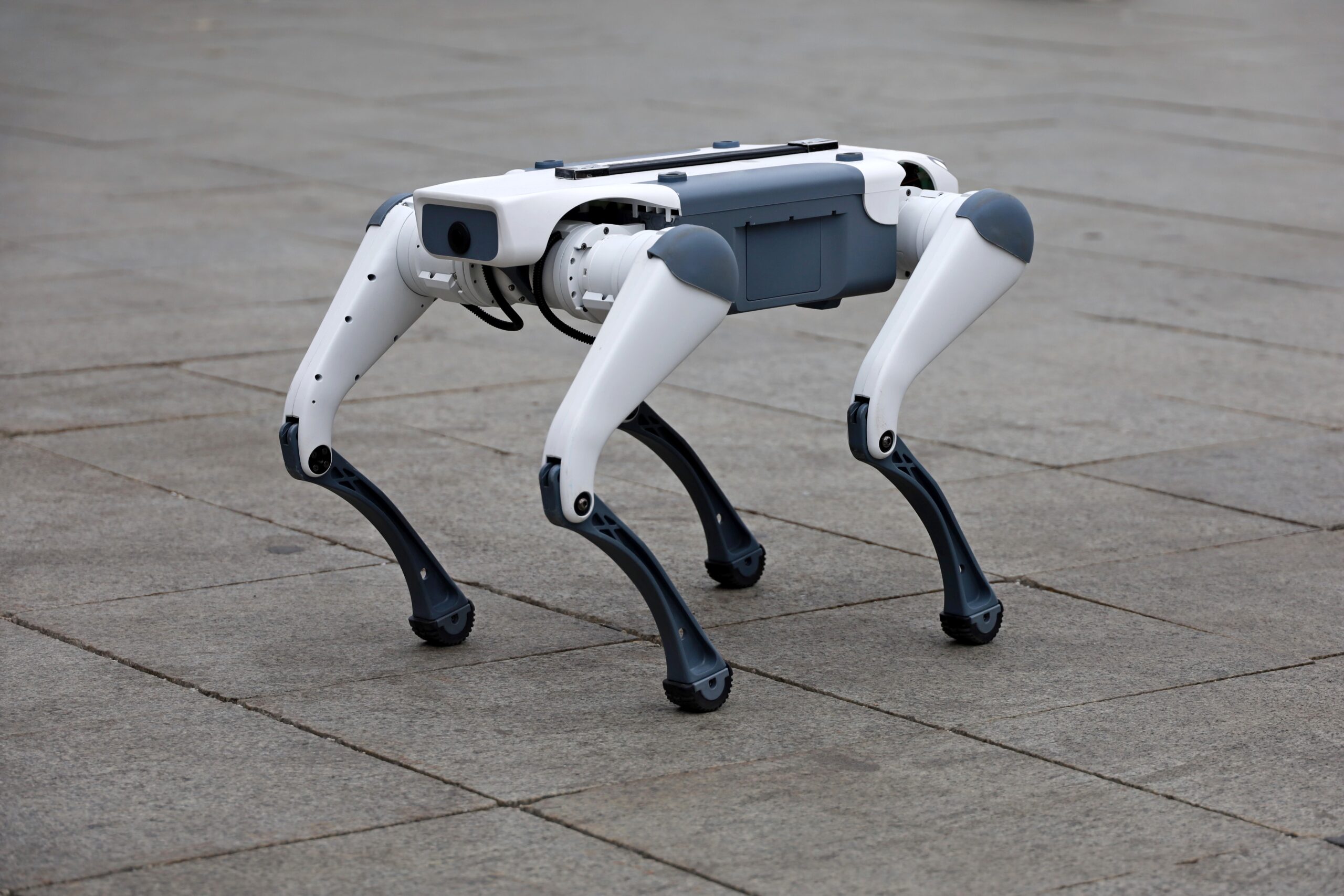 Târgu Mureș devine primul oraș din România în care tehnologia avansată pășește din laboratoare direct pe străzile orasului, într-o inițiativă care își propune să revoluționeze modalitatea de gestionare a deșeurilor și conștientizarea ecologică