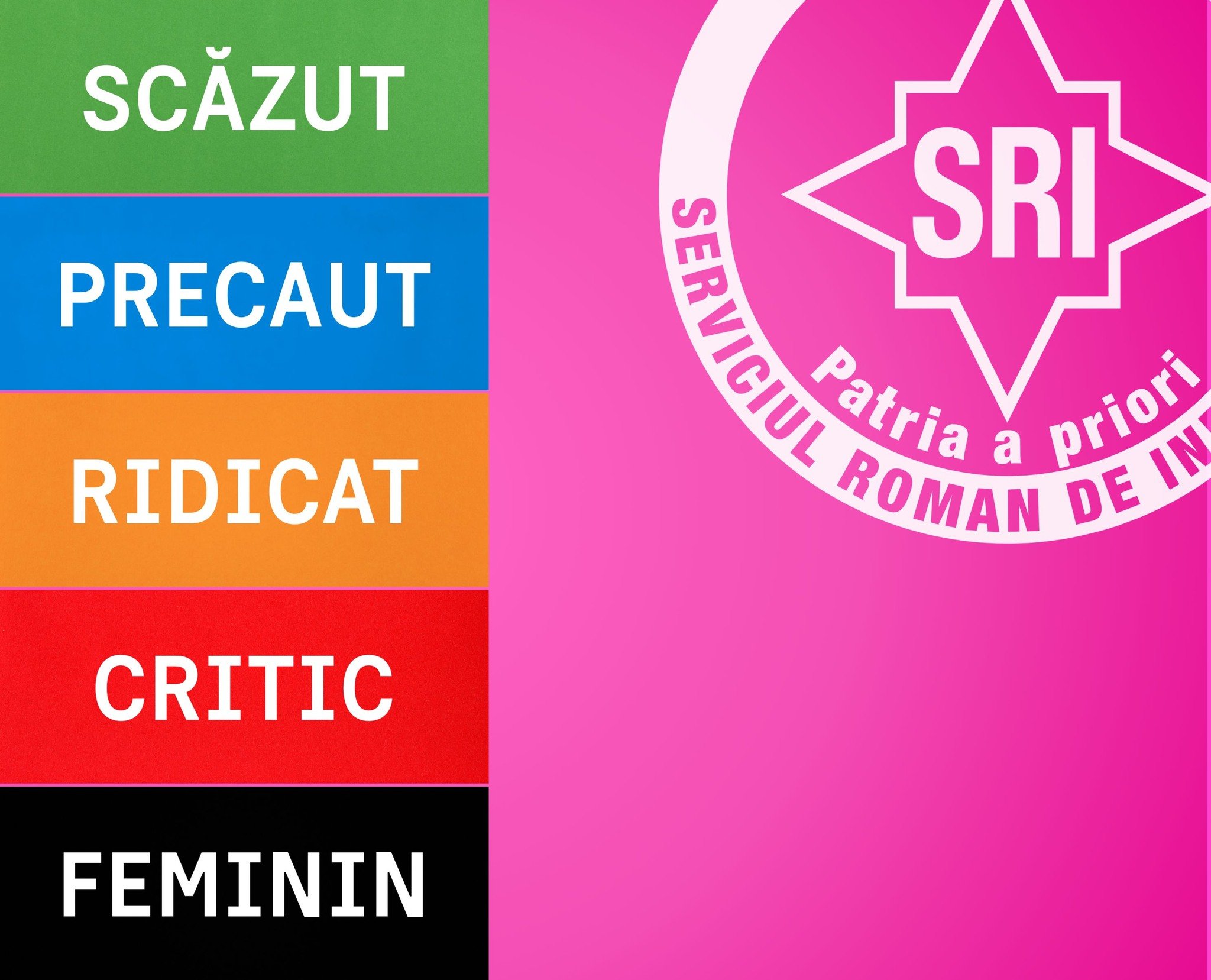 Serviciul Român de Informații a stârnit o reacție aprinsă în mediul online după ce a postat pe pagina sa oficială de Facebook un mesaj cu ocazia Zilei Internaționale a Femeii, 8 Martie, care a fost perceput ca fiind ironic și controversat