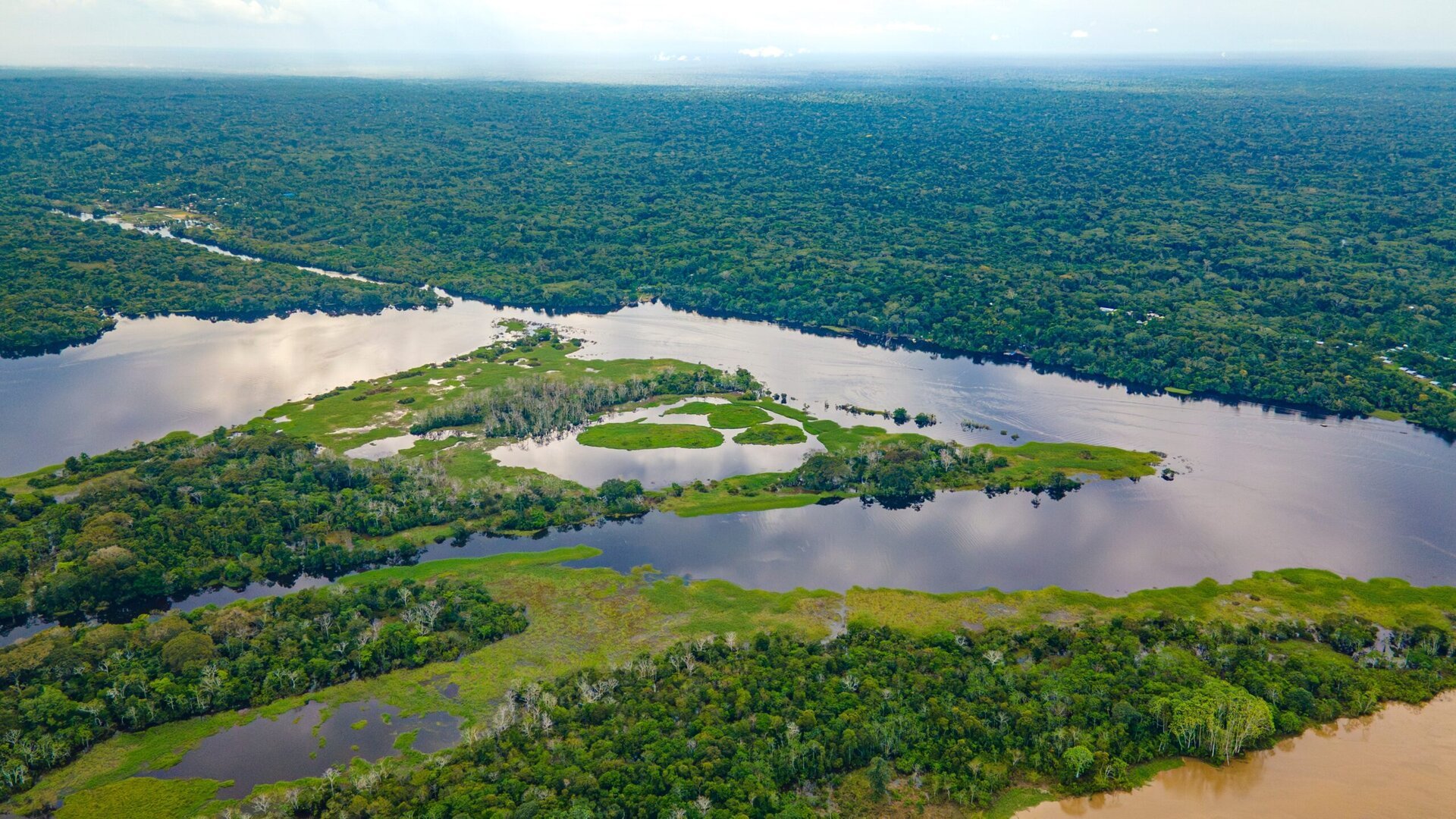 Un nou început pentru tribul Akuntsu: nașterea unui copil aduce speranță pentru un popor în pericol de dispariție în pădurea Amazonului În inima pădurii tropicale din Brazilia, un eveniment de o importanță simbolică și ecologică a readus optimismul în rândul celor care luptă pentru protejarea unei populații indigene pe cale de dispariție