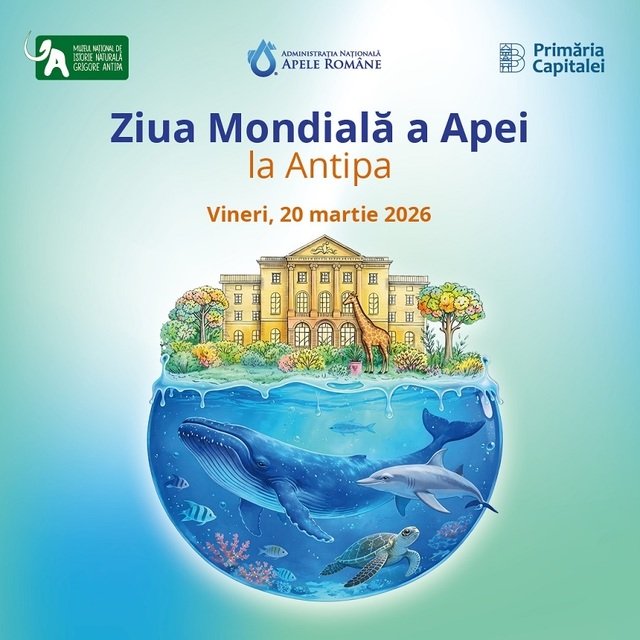 Ateliere speciale de Ziua Apei, la Muzeul Antipa