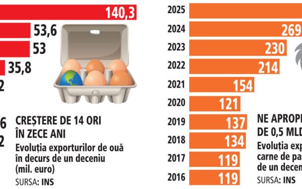Miliarde de euro în ferme avicole: România, exporturi record de carne și ouă