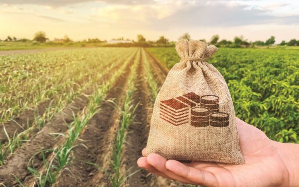 Străinii fac legea în agricultură: Arabi, italieni, încasează subvenții grase. Românii Mateiu și Anghel, în top 10