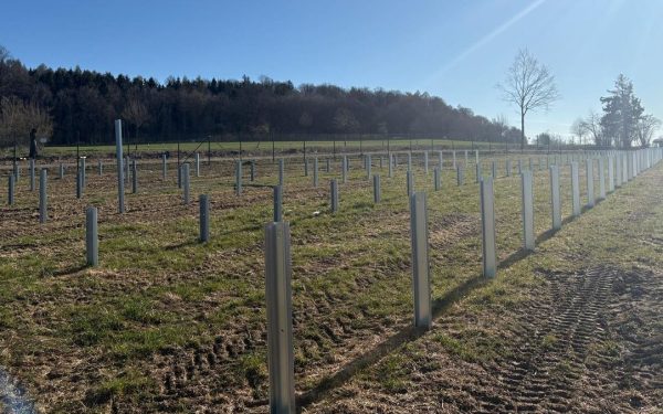 Speculații în energie: Proiecte de mii de MW, blocate, vândute pe OLX, avertizează Bolojan