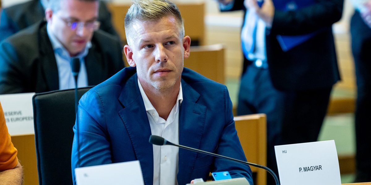 Magyar, eroul care l-a învins pe Orban: De la afișul cu Viktor, la succesul uriaș