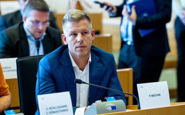 Magyar, eroul care l-a învins pe Orban: De la afișul cu Viktor, la succesul uriaș