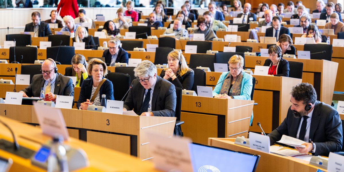 AI și democrația, pe masa europarlamentarilor: Cooperare globală, în dezbatere