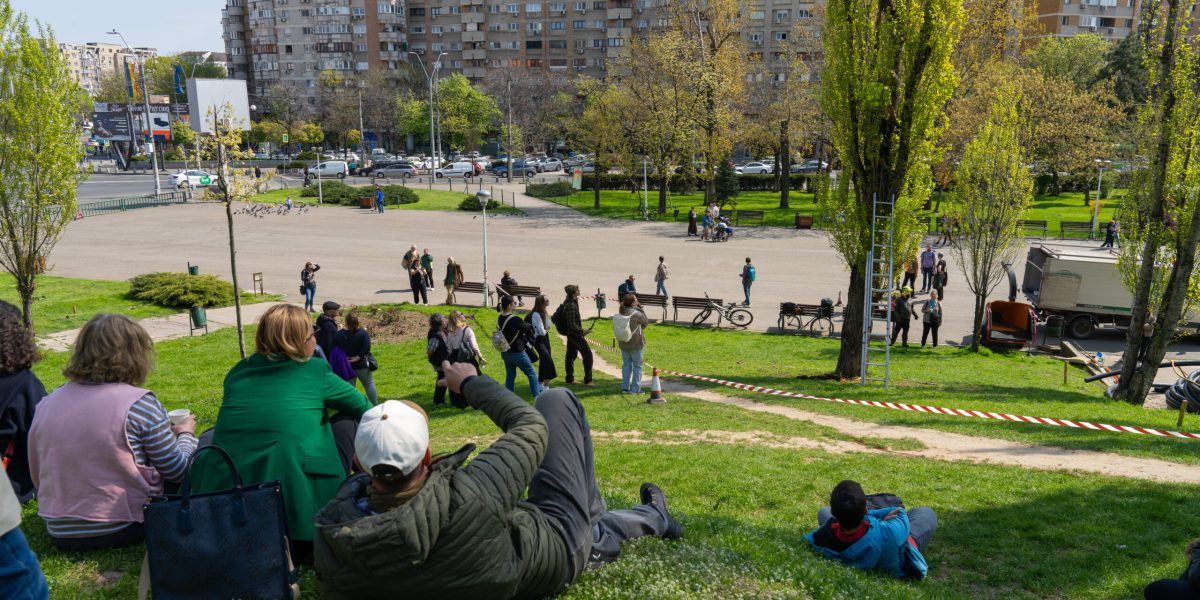 Arborii din Parcul Tineretului, în pericol: Cum salvează specialiștii plopii bătrâni?