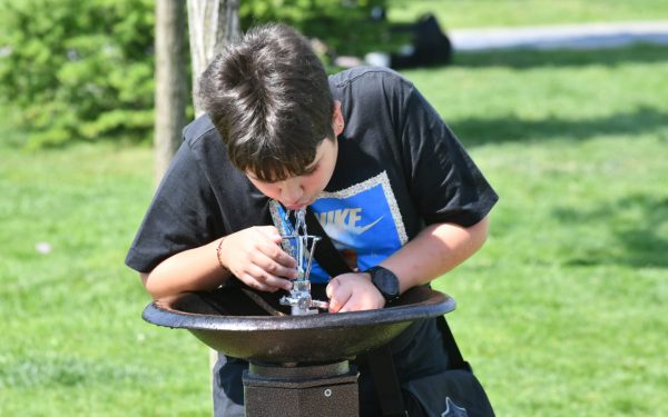 O firmă cu un angajat, plătită regește pentru cișmelele din Sectorul 6