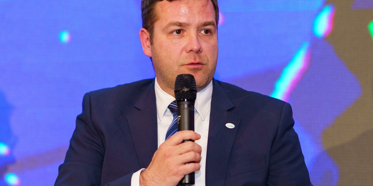 Moise (PATRES): România consumă 9 GW, dar are 80-81 GW în aviz la ANRE