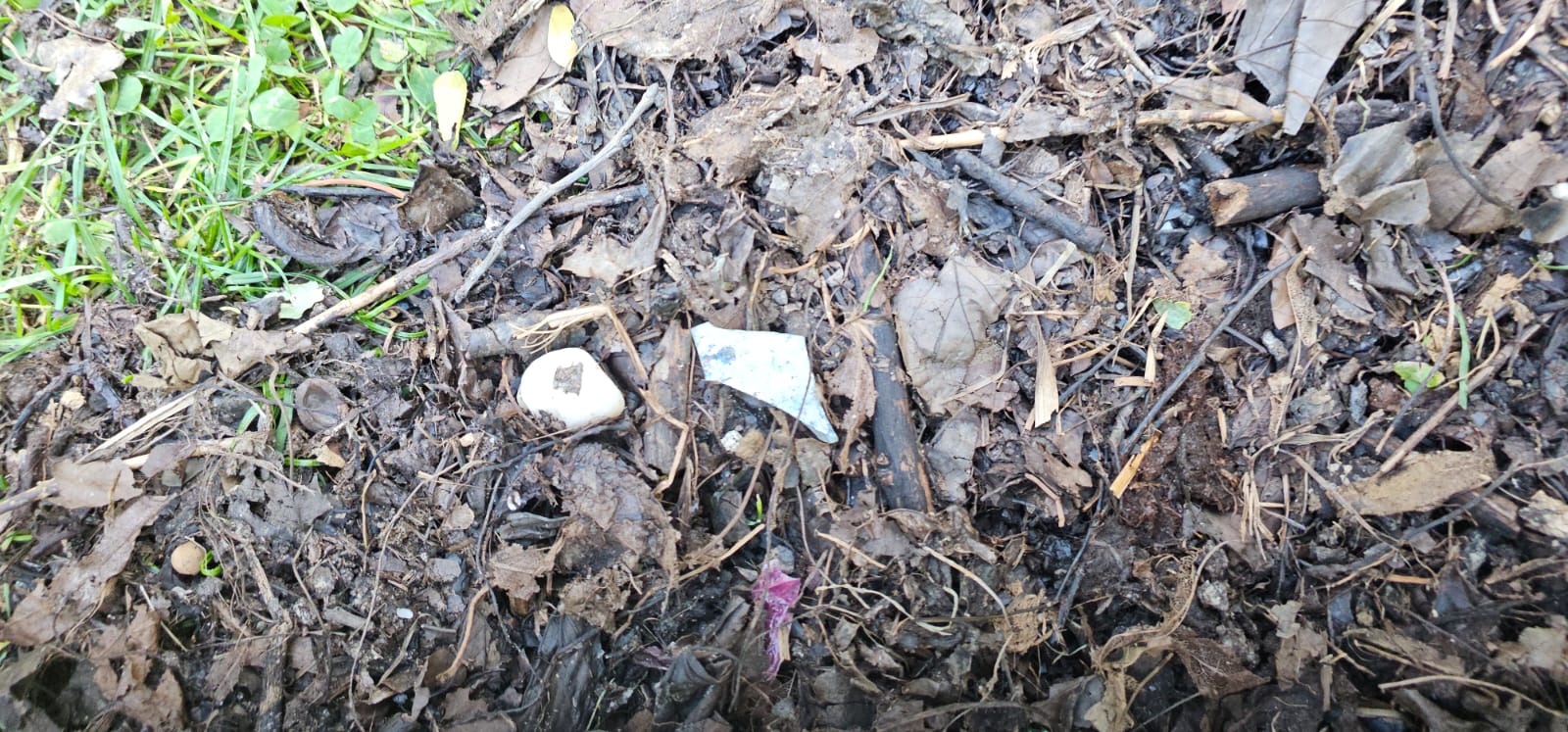 Compostul distribuit de Primăria Sectorului 3 conține deșeuri nepotrivite, reclamă cetățenii Primăria Sectorului 3 a început recent distribuirea de compost gratuit pentru locatarii din blocuri, însă mulți cetățeni reclamă contaminarea solului cu deșeuri precum cioburi de sticlă, plastic mărunțit și cauciuc