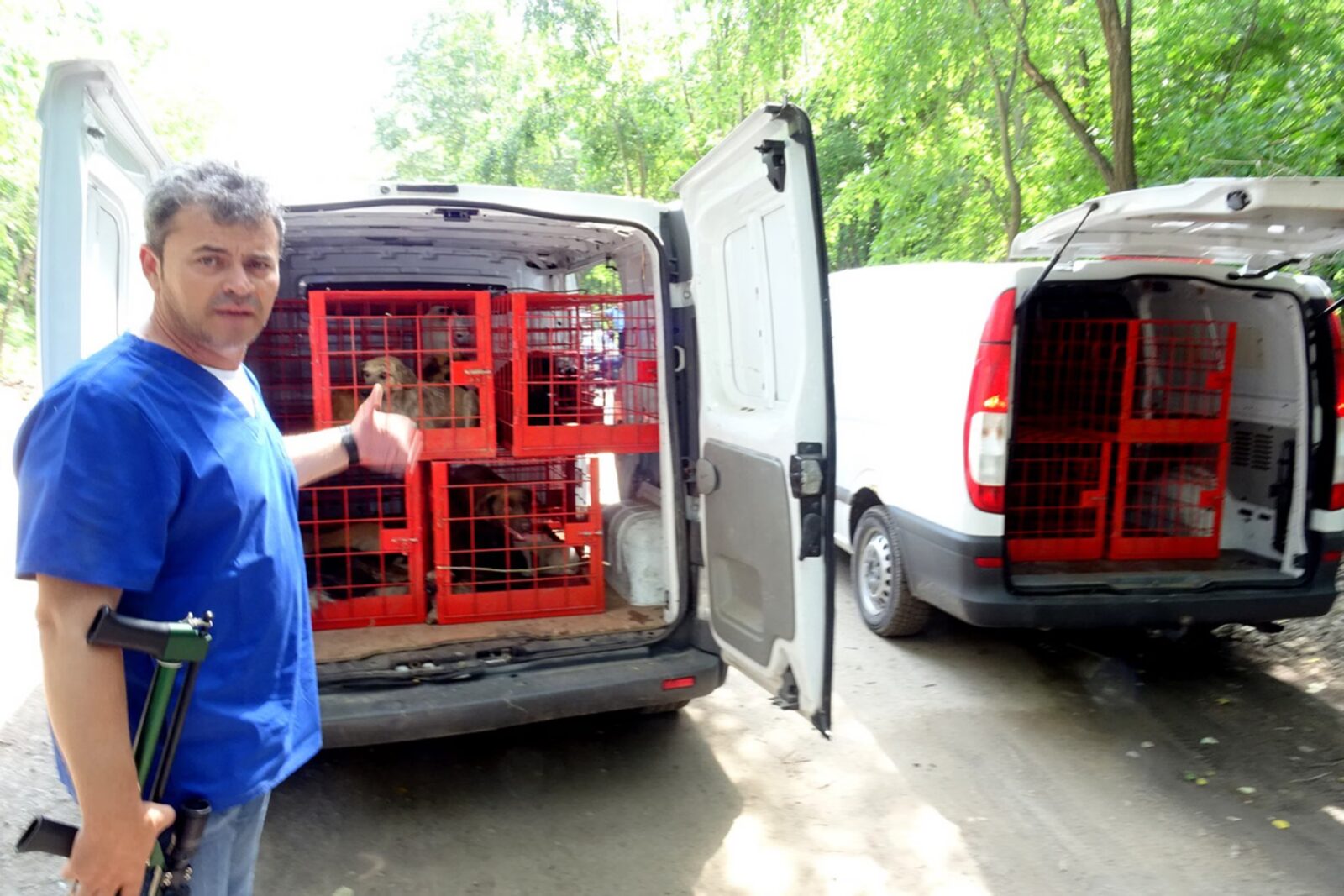 Un scandal de proporții zguduie în această perioadă scena sosbilitară pentru animalele fără stăpân din România, după descoperirea a peste o sută de cadavre de câini într-un adăpost din Uzunu, județul Giurgiu